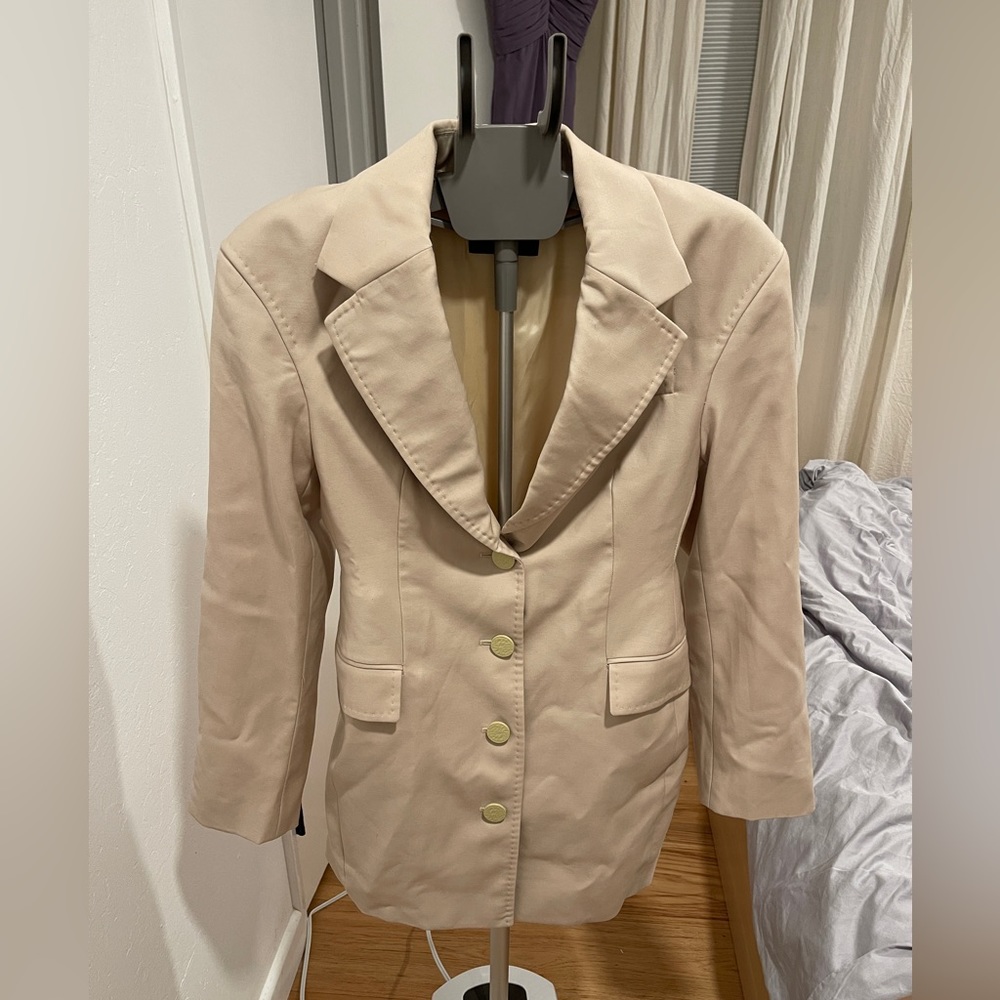 Babaton aritzia blazer